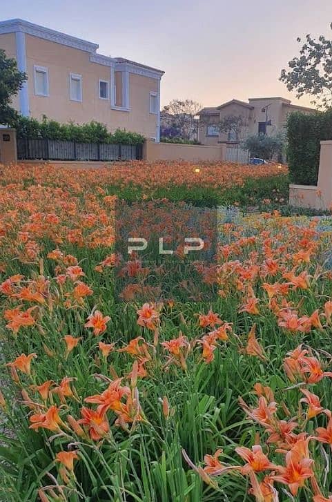 7 WhatsApp Image 2026-07-02 at 2.12. 18 AM. jpeg