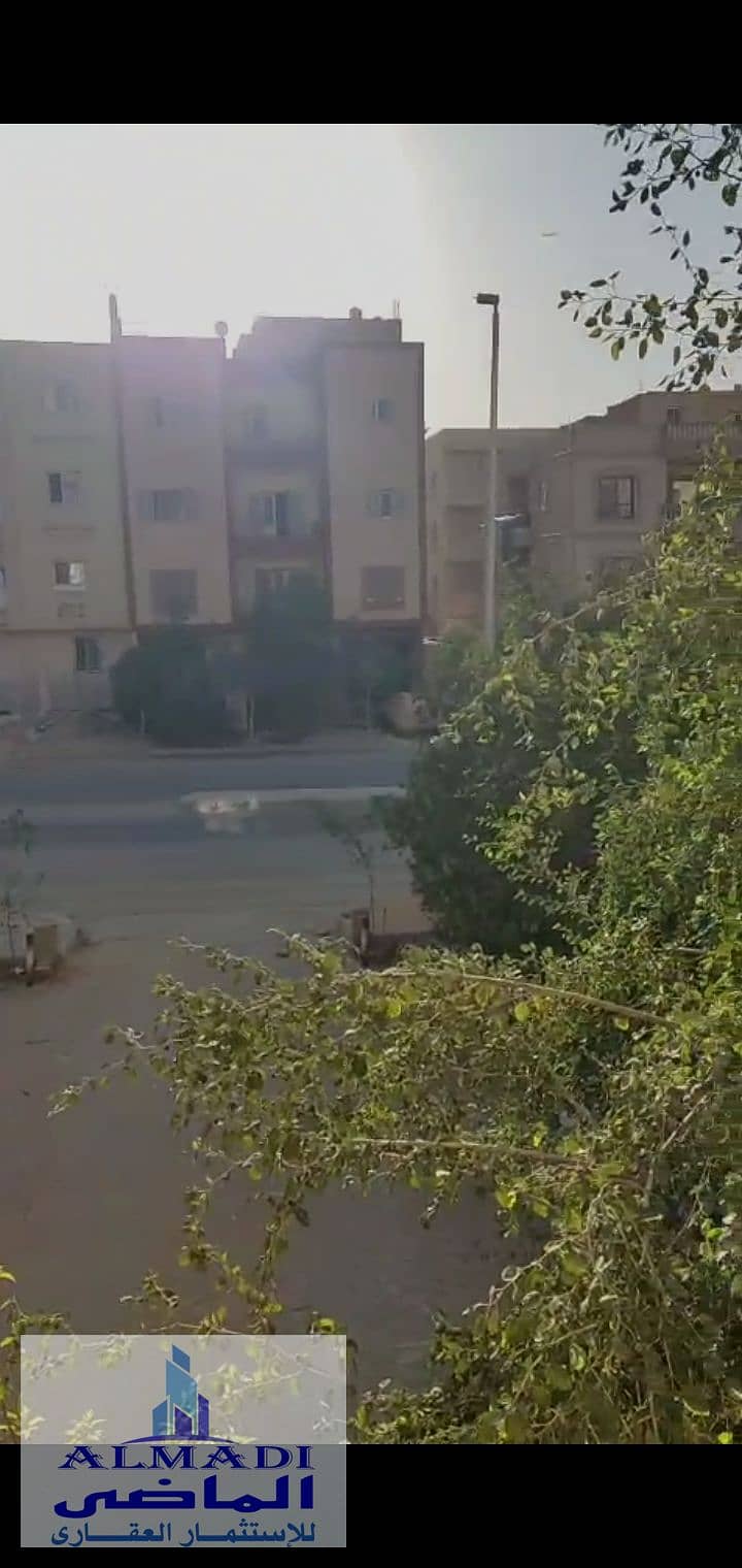 4 58128. jpg