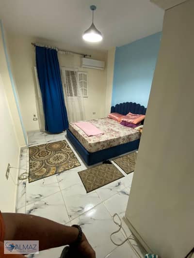 فلیٹ 3 غرف نوم للايجار في القاهرة الجديدة، القاهرة - WhatsApp Image 2026-06-29 at 4.59. 22 PM. jpeg فلیٹ 3 غرف نوم للايجار في القاهرة الجديدة، القاهرة - WhatsApp Image 2026-06-29 at 4.59. 22 PM. jpeg