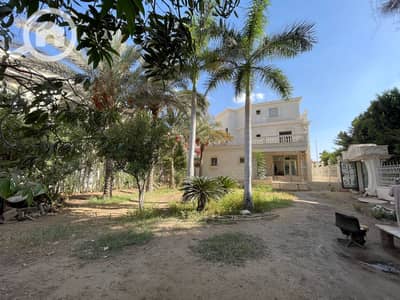 10+ Beds Villa for Sale in Shorouk City, Cairo - WhatsApp Image 2026-07-02 at 4.10. 25 PM (1). jpeg