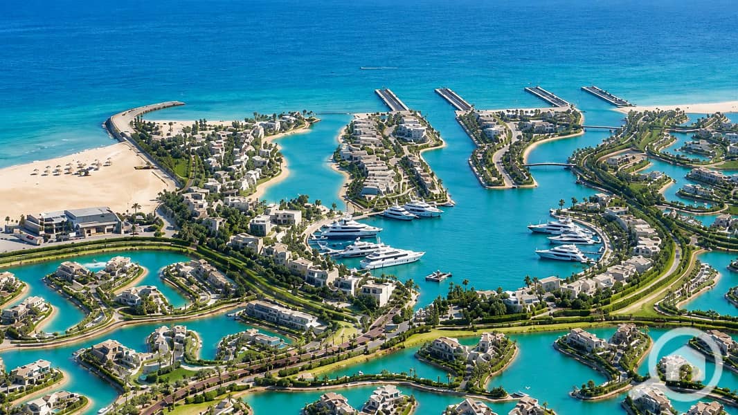 13 ساوث_ميد_ايجيبتChatGPT Image Jun 23, 2026 at 11_35_35 AM. png