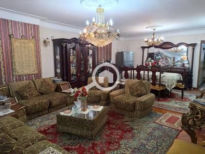 3 Bedroom Flat for Sale in Bolkly, Alexandria - 52939fae-b1cd-4974-8225-e82ab669e73f. jpg 3 Bedroom Flat for Sale in Bolkly, Alexandria - 52939fae-b1cd-4974-8225-e82ab669e73f. jpg