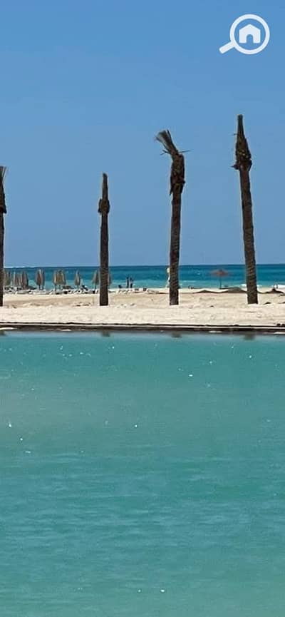 كبينة 1 غرفة نوم للايجار في الساحل الشمالي، مطروح - WhatsApp Image 2026-06-30 at 10.20. 57 PM (1). jpeg