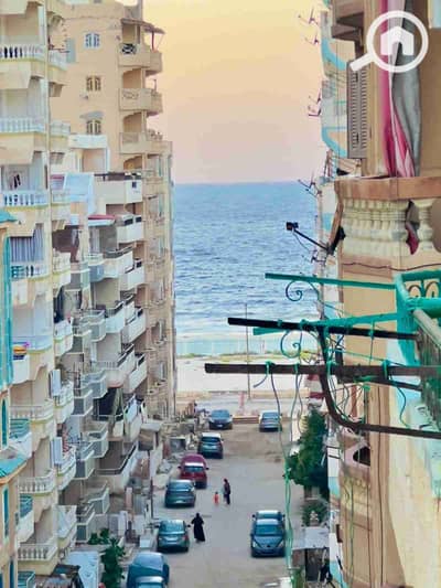 فلیٹ 2 غرفة نوم للبيع في النخيل، الإسكندرية - 1000290770. jpg