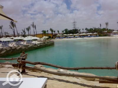 شاليه 2 غرفة نوم للبيع في الساحل الشمالي، مطروح - 26062009662 - Copy. jpg شاليه 2 غرفة نوم للبيع في الساحل الشمالي، مطروح - 26062009662 - Copy. jpg