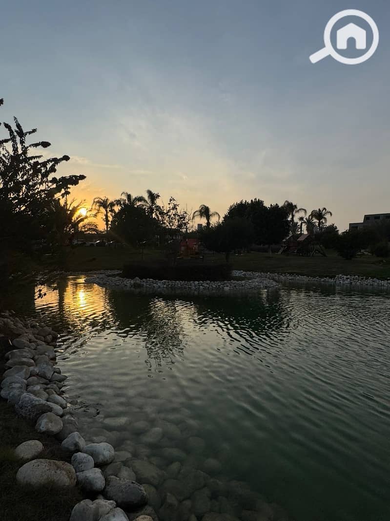 11 a0856959-fa12-4616-a31d-fdc2af4e16bc. jpg
