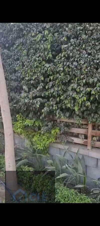 17 WhatsApp Image 2026-06-29 at 07.21. 42 (4). jpeg