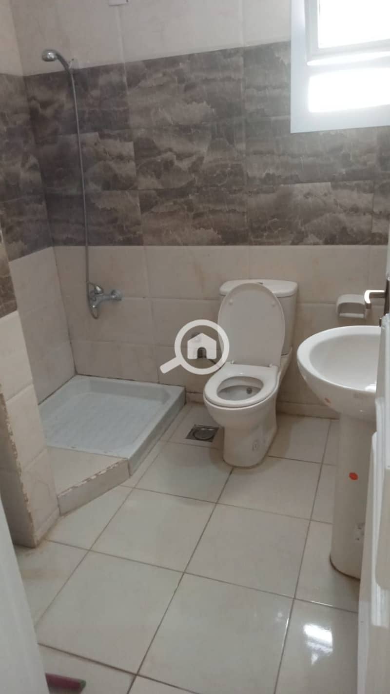 7 1000285774. jpg