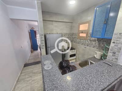 Studio for Rent in North Coast, Matruh - WhatsApp Image 2026-07-03 at 12.59. 57 AM (5). jpeg Studio for Rent in North Coast, Matruh - WhatsApp Image 2026-07-03 at 12.59. 57 AM (5). jpeg