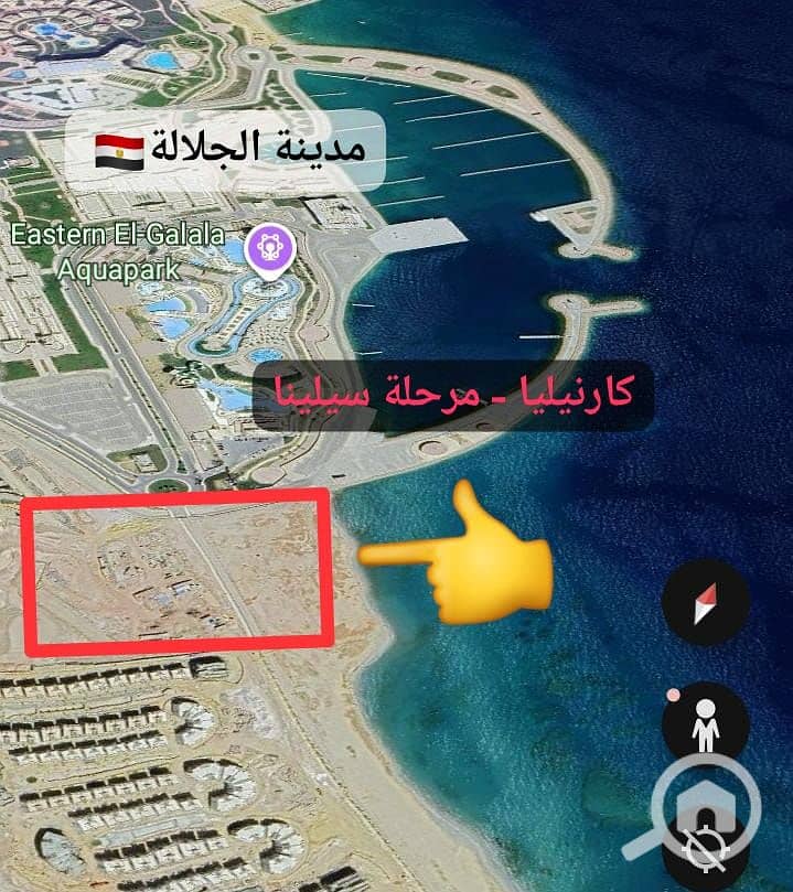 3 كارنيليا سيلينا. jpeg