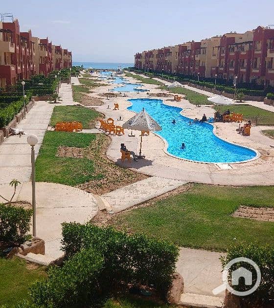6 عيونن. jpg