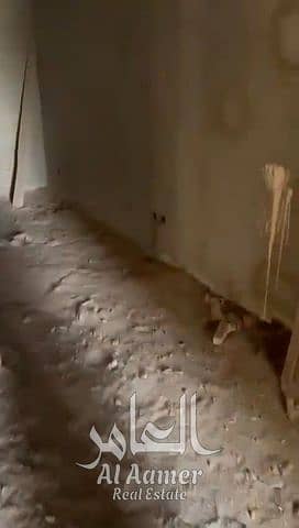 3 شقق للبيع كورنيش نيل المعادي (2). jpg
