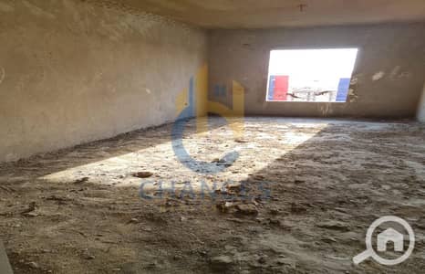 شقة 4 غرف نوم للبيع في القاهرة الجديدة، القاهرة - WhatsApp-Image-2026-04-13-at-6.46. 37-PM. jpg شقة 4 غرف نوم للبيع في القاهرة الجديدة، القاهرة - WhatsApp-Image-2026-04-13-at-6.46. 37-PM. jpg