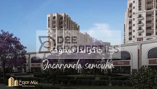 3 Bedroom Flat for Sale in Smoha, Alexandria - صور-مقالات-بارزة-19. jpg 3 Bedroom Flat for Sale in Smoha, Alexandria - صور-مقالات-بارزة-19. jpg