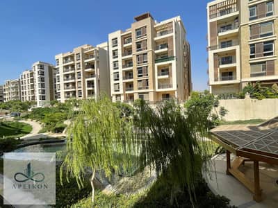 3 Bedroom Flat for Rent in New Cairo, Cairo - 2bfc373e-234e-434a-992c-93a66984260b. jpg 3 Bedroom Flat for Rent in New Cairo, Cairo - 2bfc373e-234e-434a-992c-93a66984260b. jpg