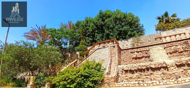 3 Bedroom Flat for Rent in Maadi, Cairo - 213797. jpg