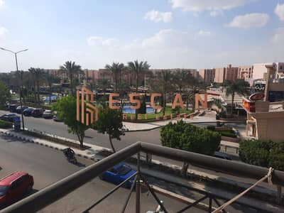 2 Bedroom Flat for Rent in New Cairo, Cairo - IMG-20240804-WA0099. jpg 2 Bedroom Flat for Rent in New Cairo, Cairo - IMG-20240804-WA0099. jpg