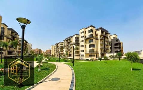 Studio for Sale in Madinaty, Cairo - WhatsApp Image 2025-09-17 at 15.33. 50 (1). jpeg Studio for Sale in Madinaty, Cairo - WhatsApp Image 2025-09-17 at 15.33. 50 (1). jpeg