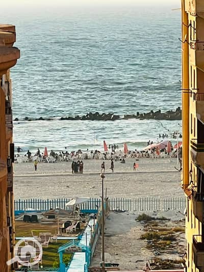 فلیٹ 3 غرف نوم للبيع في النخيل، الإسكندرية - 1000439400. jpg فلیٹ 3 غرف نوم للبيع في النخيل، الإسكندرية - 1000439400. jpg