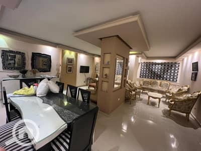 2 Bedroom Apartment for Rent in Cleopatra, Alexandria - b45f980e-6589-4e81-9186-576b56989981. jpg 2 Bedroom Apartment for Rent in Cleopatra, Alexandria - b45f980e-6589-4e81-9186-576b56989981. jpg