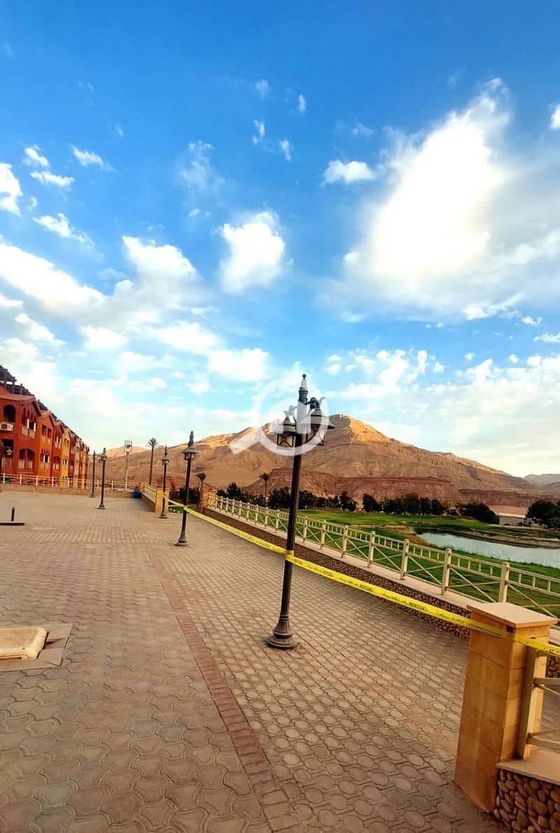 6 IMG_0056. jpg