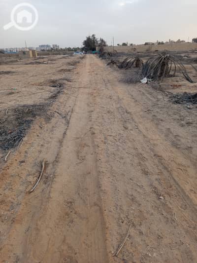 Land for Sale in Sheikh Zayed, Giza - 1000722278. jpg