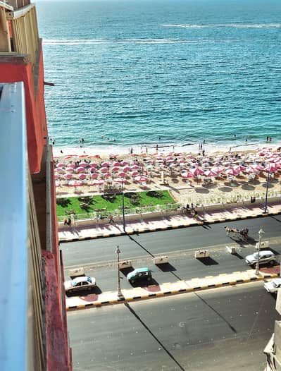 3 Bedroom Apartment for Sale in Mandara, Alexandria - شقة لقطة بالمندرة عالبحر للبيع 3 Bedroom Apartment for Sale in Mandara, Alexandria - شقة لقطة بالمندرة عالبحر للبيع