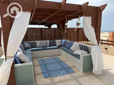 3 Bedroom Chalet for Rent in North Coast, Matruh - WhatsApp Image 2026-07-04 at 5.18. 31 PM (1). jpeg 3 Bedroom Chalet for Rent in North Coast, Matruh - WhatsApp Image 2026-07-04 at 5.18. 31 PM (1). jpeg