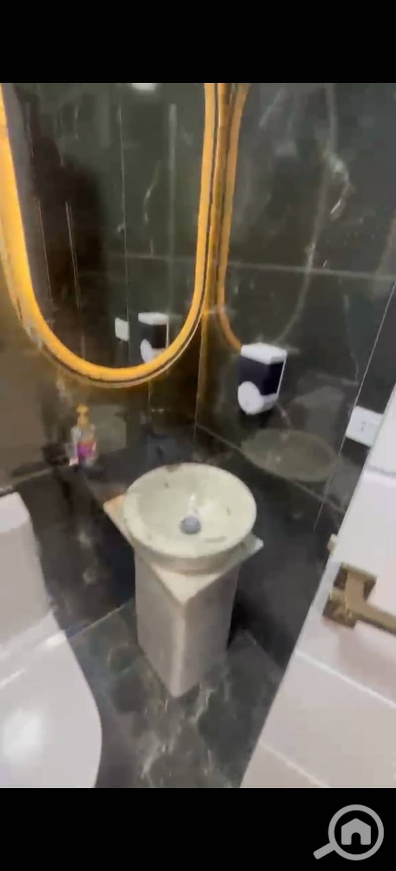 7 378766. jpg