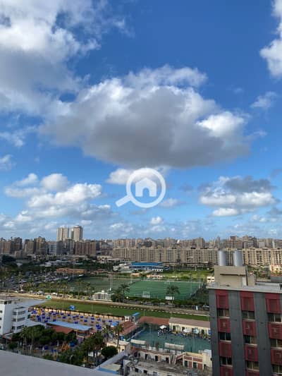 فلیٹ 4 غرف نوم للبيع في سموحة، الإسكندرية - WhatsApp Image 2025-12-23 at 10.45. 34 AM (5). jpeg