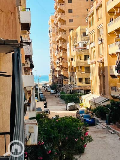 شقة 3 غرف نوم للبيع في النخيل، الإسكندرية - 1000439932. jpg شقة 3 غرف نوم للبيع في النخيل، الإسكندرية - 1000439932. jpg