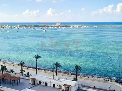 Office for Rent in Manshiyya, Alexandria - WhatsApp Image 2026-07-04 at 12.11. 15 PM. jpg Office for Rent in Manshiyya, Alexandria - WhatsApp Image 2026-07-04 at 12.11. 15 PM. jpg