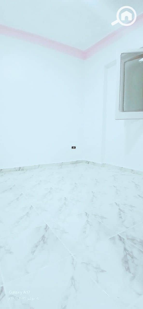 9 1000440210. jpg