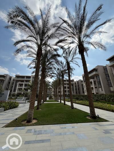 3 Bedroom Flat for Rent in New Cairo, Cairo - 1000956800. jpg