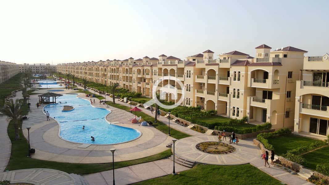 8 Palm 2022 (20). jpg