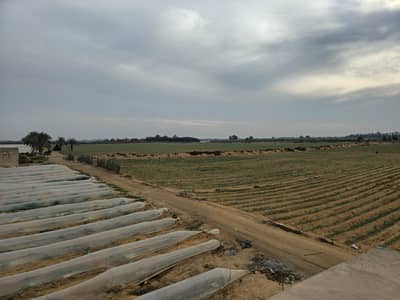Agricultural Land for Sale in 6th of October, Giza - ارض زراعية للبيع Agricultural Land for Sale in 6th of October, Giza - ارض زراعية للبيع