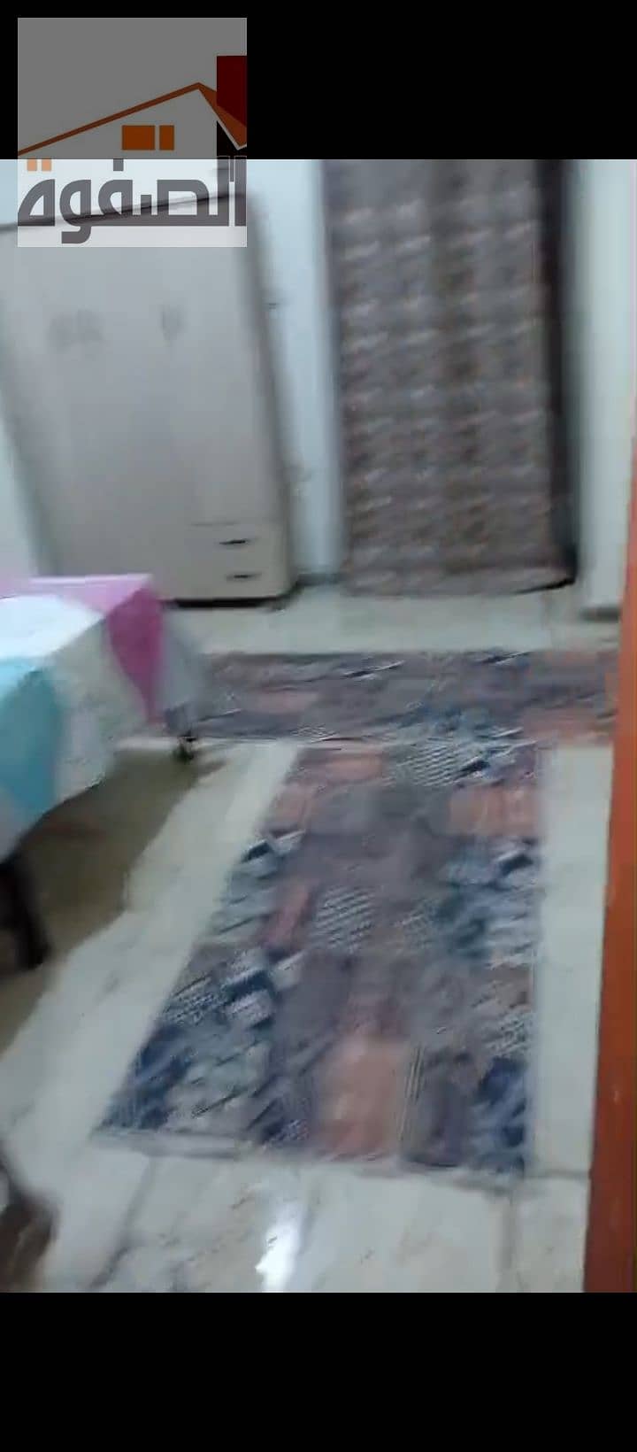2 1000228445. jpg