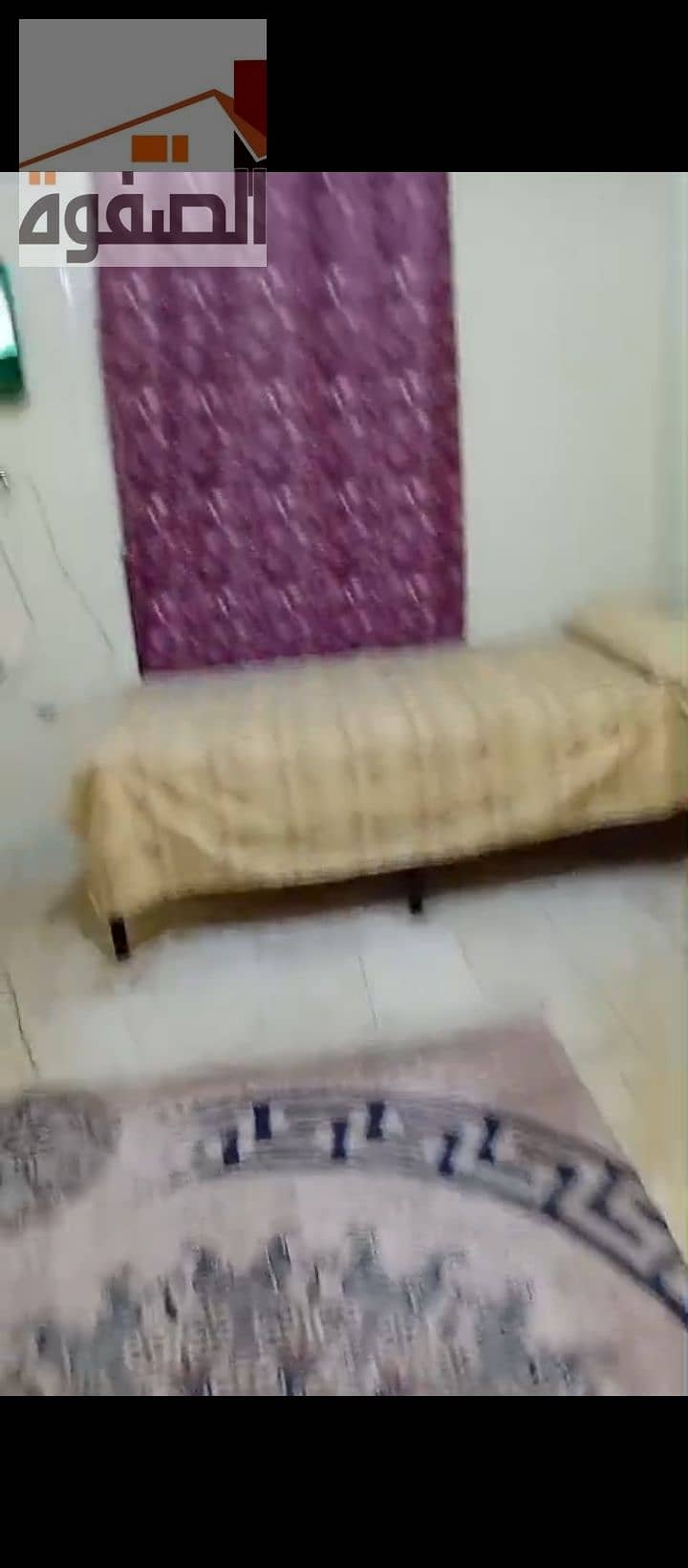 3 1000228441. jpg