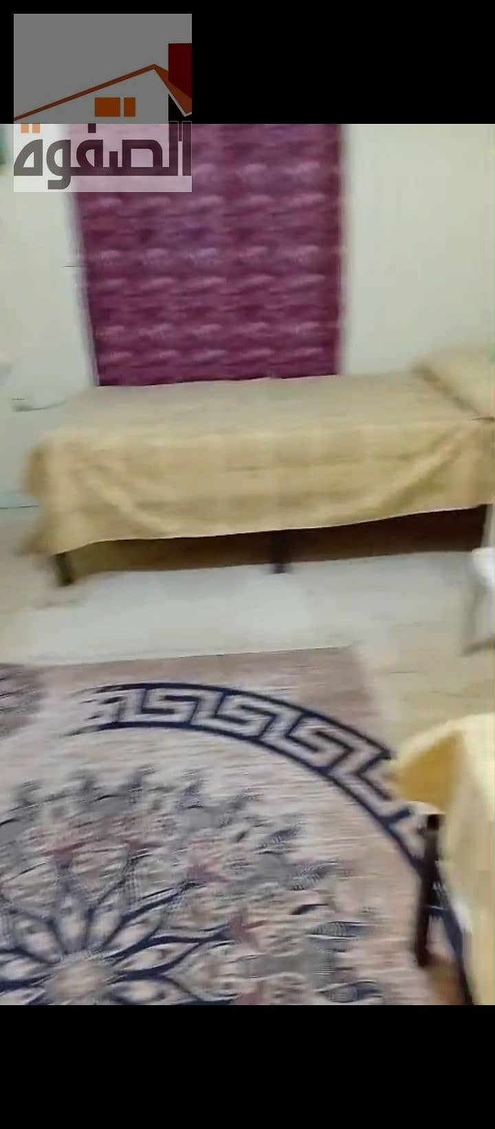 10 1000228443. jpg