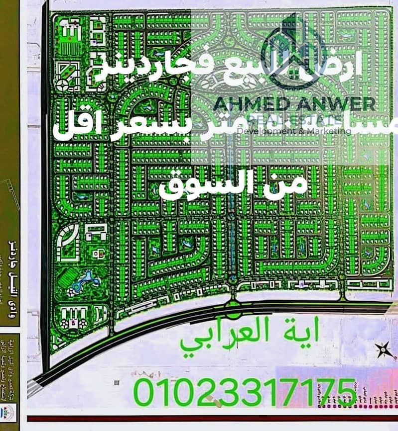 8 2647. jpg
