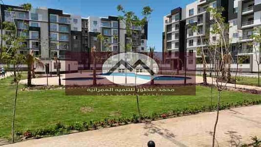 3 Bedroom Flat for Sale in New Mansoura, Dakahlia - 1000129950. jpg 3 Bedroom Flat for Sale in New Mansoura, Dakahlia - 1000129950. jpg