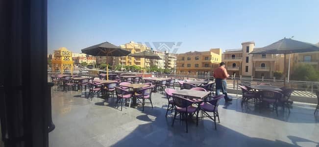 Retail for Rent in New Cairo, Cairo - 583dda58-31da-48e3-a264-95a52041e2a2. jpg Retail for Rent in New Cairo, Cairo - 583dda58-31da-48e3-a264-95a52041e2a2. jpg