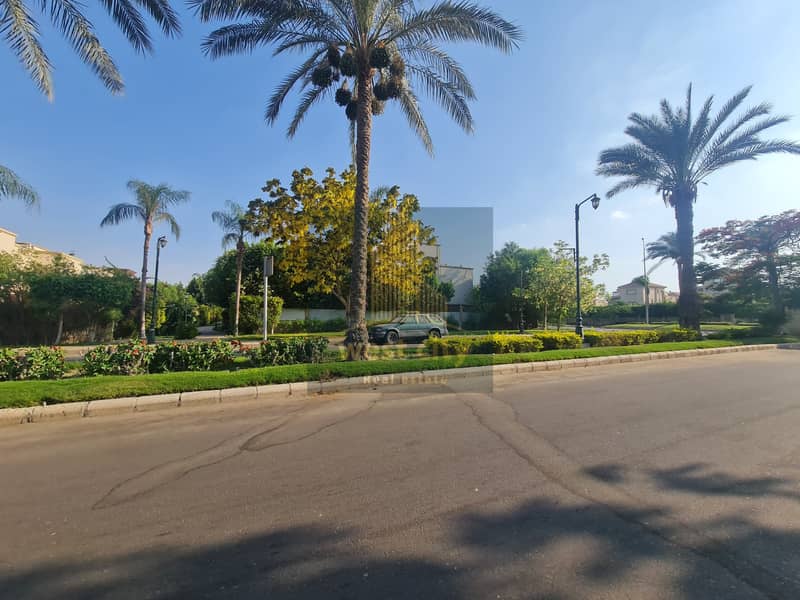 7 20260703_175315. jpg