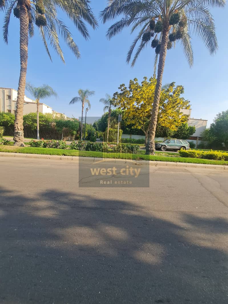 8 20260703_175319. jpg