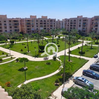 فلیٹ 4 غرف نوم للايجار في القاهرة الجديدة، القاهرة - 03a03f61-b0a9-44e9-919e-1e88feb07ba8. jpg فلیٹ 4 غرف نوم للايجار في القاهرة الجديدة، القاهرة - 03a03f61-b0a9-44e9-919e-1e88feb07ba8. jpg