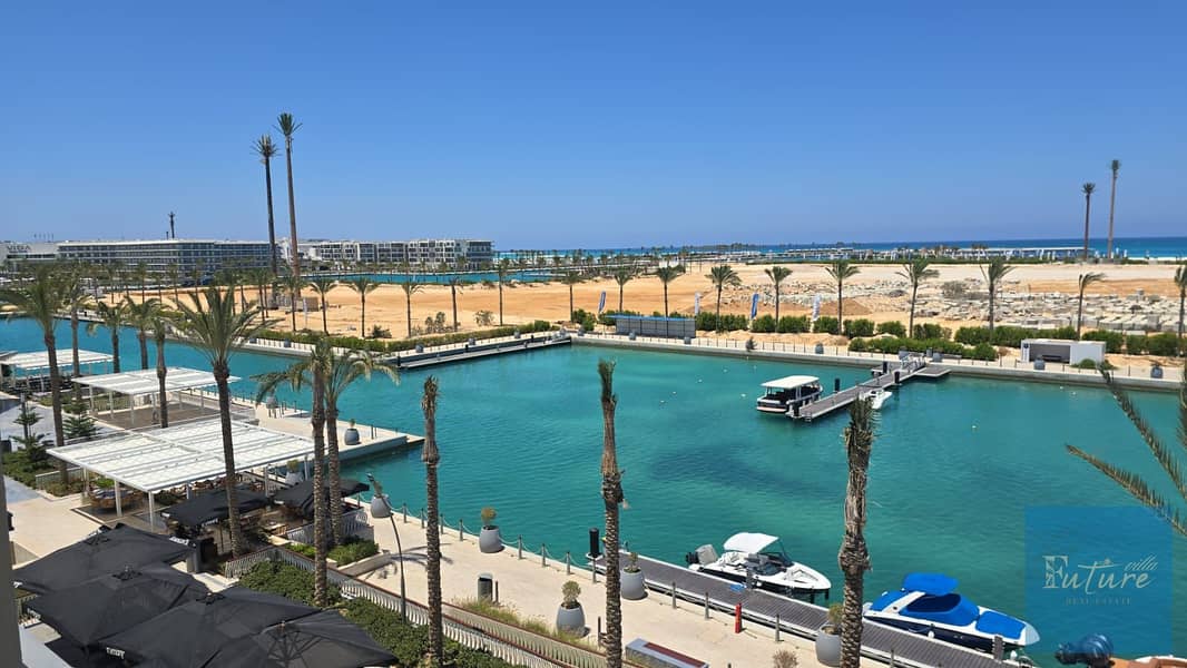 3 75956. jpg