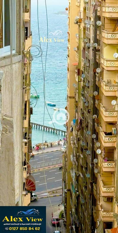 شقة 3 غرف نوم للايجار في ميامي، الإسكندرية - 1. jpg شقة 3 غرف نوم للايجار في ميامي، الإسكندرية - 1. jpg