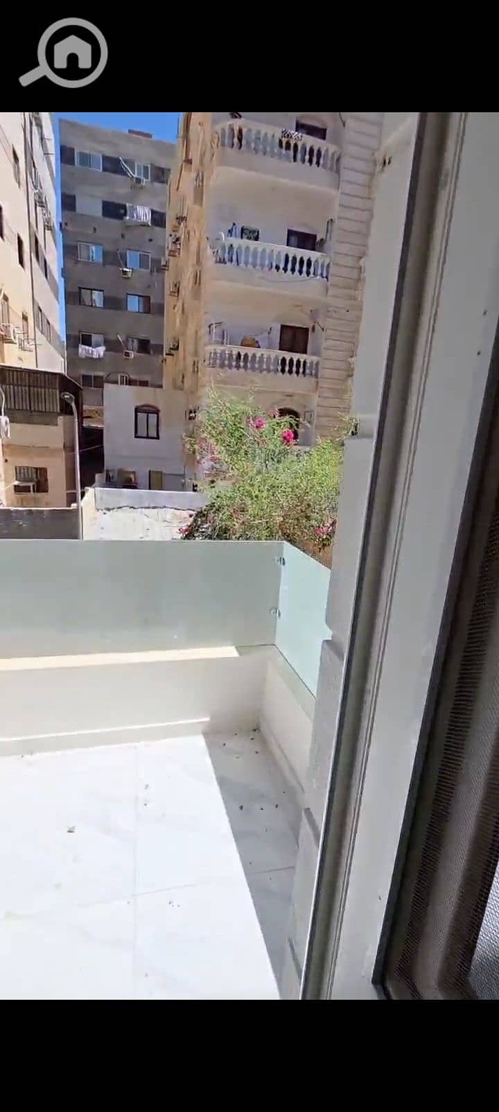 22 1000374256. jpg