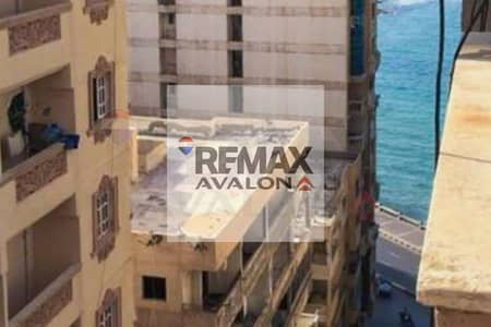 3 Bedroom Apartment for Sale in Mandara, Alexandria - WhatsApp Image 2026-07-02 at 3.26. 44 PM. jpg 3 Bedroom Apartment for Sale in Mandara, Alexandria - WhatsApp Image 2026-07-02 at 3.26. 44 PM. jpg