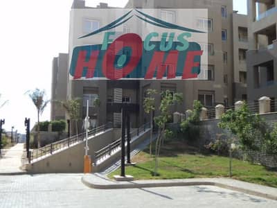 Studio for Rent in New Cairo, Cairo - WhatsApp Image 2023-12-14 at 3.38. 59 PM. jpeg